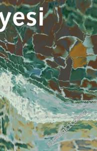 Sekiz Kentin Hikayesi : Türkiye'de Yeni Yerellik ve Yeni Orta Sınıflar -