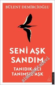 Seni Aşk Sandım - Tanıdık Acı Tanımsız Aşk -        2025