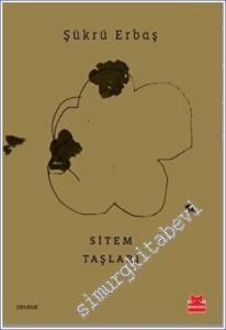 Sitem Taşları -        2023