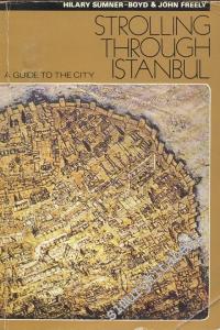 Strolling Through Istanbul: A Guide to The City -