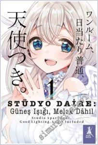 Stüdyo Daire : Güneş Işığı, Melek Dahil - Cilt 1 -        2026