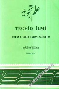 Tanzimat Devri Türk Romanında Kötülük -        2021