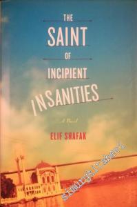 The Saint of Incipient Insanities: A Novel -        2004