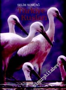 Türkiye Kuşları -        2006
