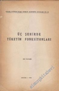 Üç Şehirde Tüketim Fonksiyonları -        1976