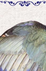 Uzun Irmak Boyunca  -