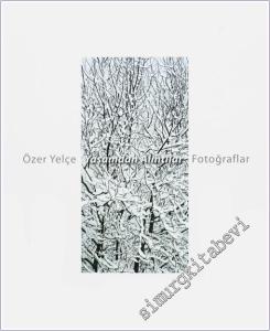 Yaşamdan Alıntılar -        2011