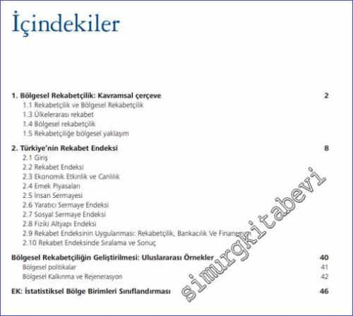 Türkiye İçin Bir Rekabet Endeksi - 2009