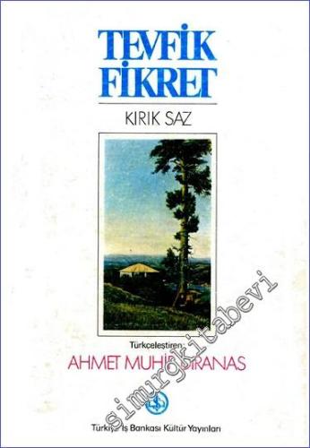 Kırık Saz  -