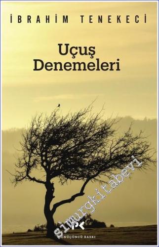 Uçuş Denemeleri  -        2015