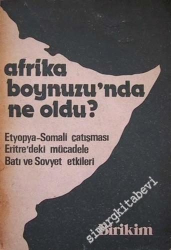Afrika Boynuzu'nda Ne Oldu