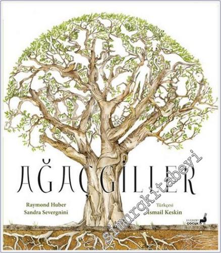 Ağaçgiller -        2024