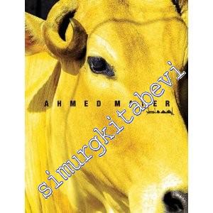 Ahmet  (Ahmed) Mater -