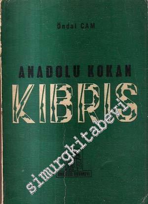 Anadolu Kokan Kıbrıs -