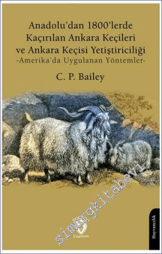Anadolu'dan 1800'lerde Kaçırılan Ankara Keçileri ve Ankara Keçisi Yeti