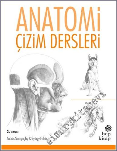 Anatomi Çizim Dersleri