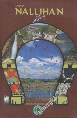 Ankara Nallıhan -        2010
