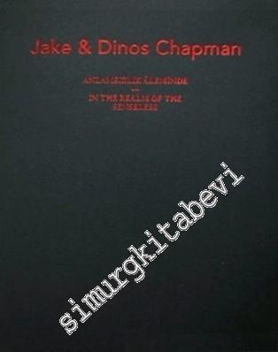 Anlamsızlık Aleminde =  In the Realm of the Senseless -        2017