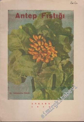 Antep Fıstığı Yetiştirilmesi -