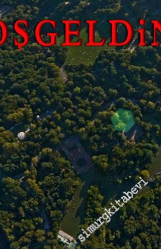 Antroposen'e Hoşgeldiniz: Tin Kemiktir Serisi 4. Kitap -