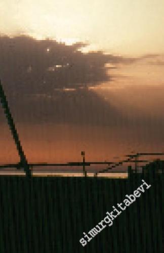 Arabistan'dan Öteye : Fenikeliler Araplar ve Avrupa'nın Keşfi - Avrupa'daki Asya ve Batı'nın Şekillenişi - Cilt 1  -        2023