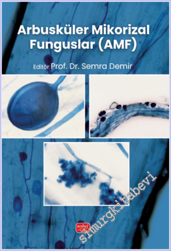 Arbusküler Mikorizal Funguslar (AMF)
