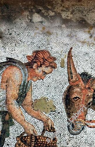 Ars: İlkelden Moderne Sanatın Tasarımı -