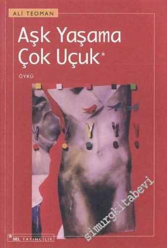 Aşk Yaşama Çok Uçuk -        2006