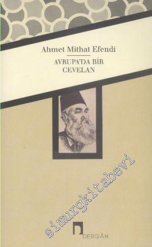 Avrupa'da Bir Cevelan