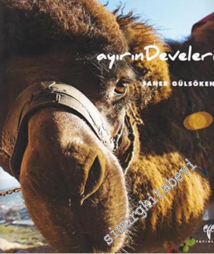 Ayırın Develeri - 2010