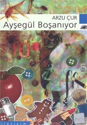 Ayşegül Boşanıyor -        2004