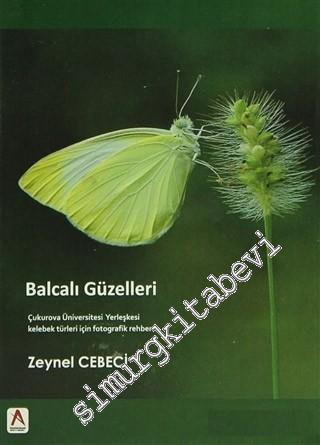 Balcalı Güzelleri: Çukurova Üniversitesi Yerleşkesi Kelebek Türleri iç