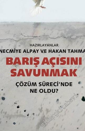 Barış Açısını Savunmak: Çözüm Sürecinde Ne Oldu ? -