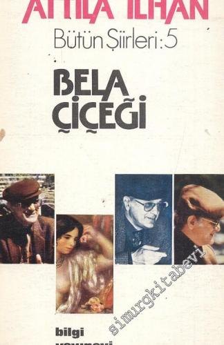Bela Çiçeği