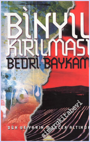 Binyıl Kırılması: Dün ve Yarın Mercek Altında -        2001