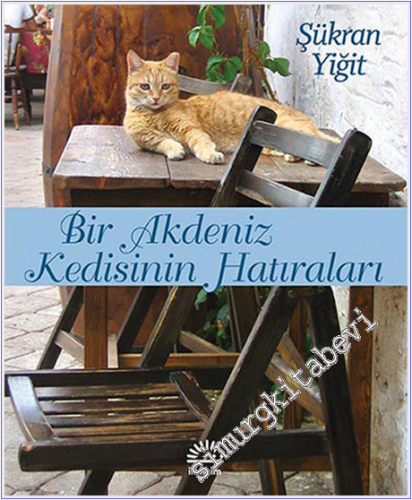Bir Akdeniz Kedisinin Hatıraları: " Doli'yi Hatırlıyor musun ? "