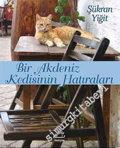 Bir Akdeniz Kedisinin Hatıraları: " Doli'yi Hatırlıyor musun ? " -