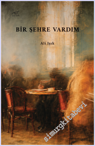 Bir Şehre Vardım -
