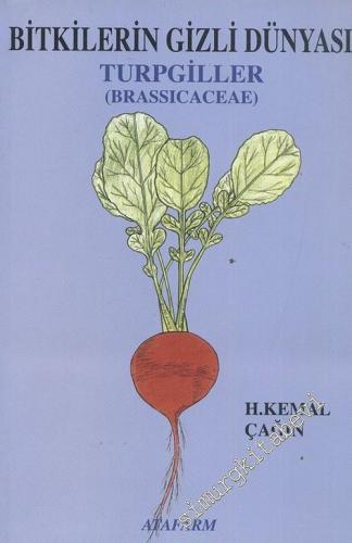 Bitkilerin Gizli Dünyası 5: Brassicaceae ( Turpgiller )