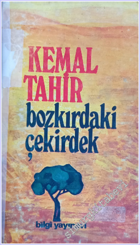 Bozkırdaki Çekirdek -        1976