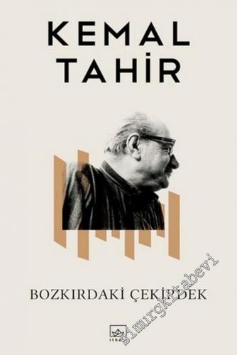Bozkırdaki Çekirdek -        2018