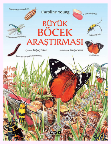 Büyük Böcek Araştırması -         2025