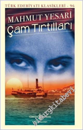 Çam Tırtılları -        2025