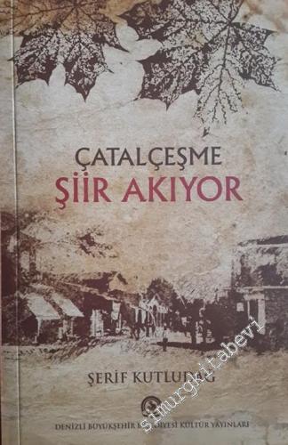 Çatalçeşme Şiir Akıyor: Denizli'de Şiir Kitabı Yayınlanmış Şairler ve 