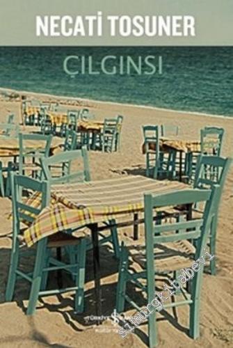 Çılgınsı -