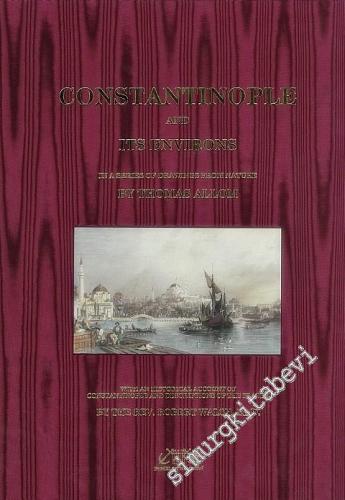 Constantinople and its Environs -