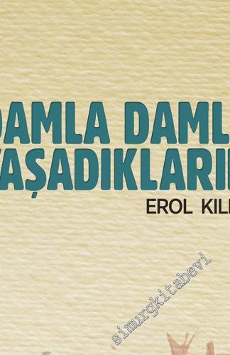 Damla Damla Yaşadıklarım -        2012