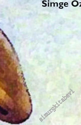 Danta'yi Betimlemek -