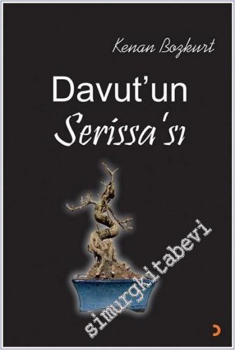 Davut'un Serissa'sı -        2024