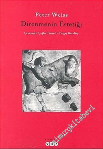 Direnmenin Estetiği